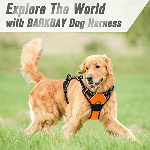 Dog Harness No Pull for Medium Sized Dog Front Back Clips (Medium(Chest:22.5-28") / Orange)