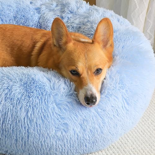 Western Home Calming Donut Medium Dog Bed Washable Pet Bed (Light Blue / 30.0"l x 30.0"w x 8.0"th)
