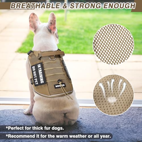 Service Dog in Training Mesh Harness with 10 Removale Pet Patches (Large / Brown)