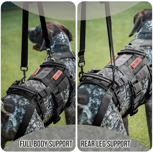 Breathable Dog Lift Harness for Large Medium Sized Dogs (X-Large / Black)