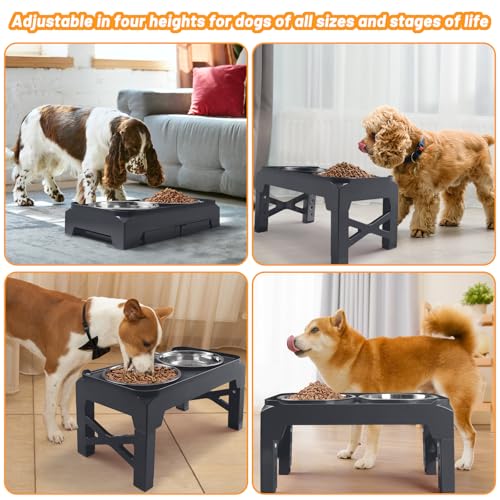 Elevated Dog Bowls with 2 Stainless Steel Dog Food & Water Raised Bowls with No Spill Edge Non (S (6" for Small Dogs) / Grey)