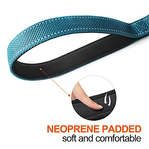 4FT 1IN Heavy Duty Dog Leash for Large Dogs with 2 Padded Handles (Blue / 1 in x 4 ft)