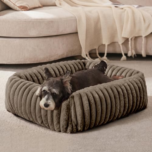 Dog Bed for Small Dogs (Coffee / S (20"x19"x6"))