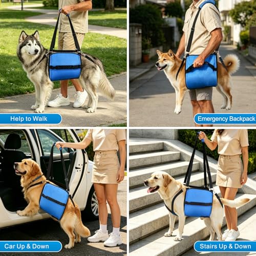 Rehab Dog Lift Harness (Blue / X-Large)
