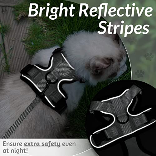 Cat Harness and Leash Set (Xxs / Grey)