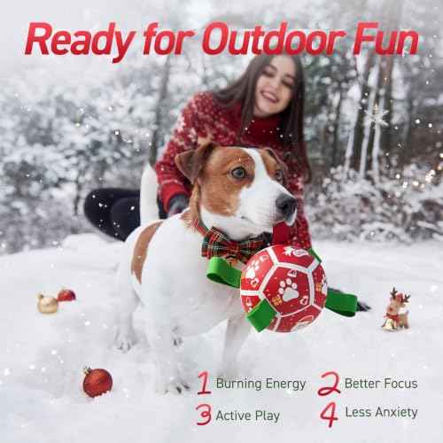Small Christmas Dog Toys (Christmas 1 / 5 Inch)
