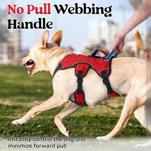 Escape Proof Dog Harness for Large (Red / Large)