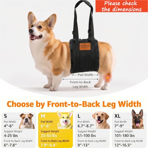 Adjustable Dog Lifting Harness (Grey / Medium)