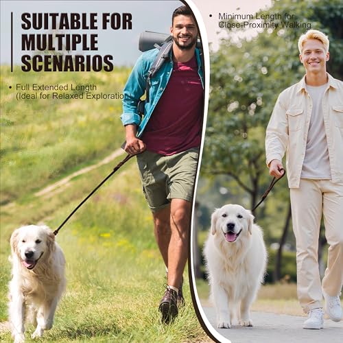 4ft Leather Dog Leash Heavy Duty Pet Walking Training Lead (4ft)