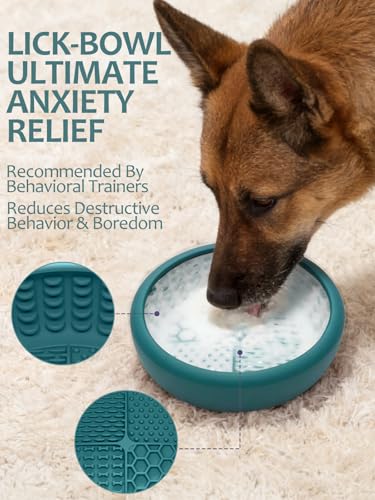 Dog Lick Bowl with Brush and Scraper (Teal / Small)
