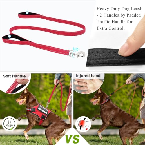 Service Dog Harness and Leash Set (X-Large / Red)