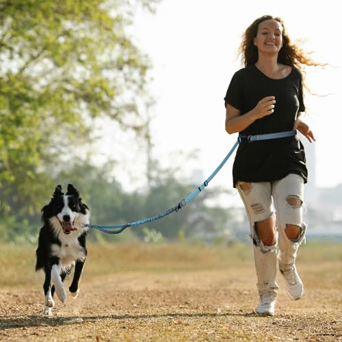 Hands Free Dog Leash for Medium Large Dogs Heavy Duty (Aquamarine)