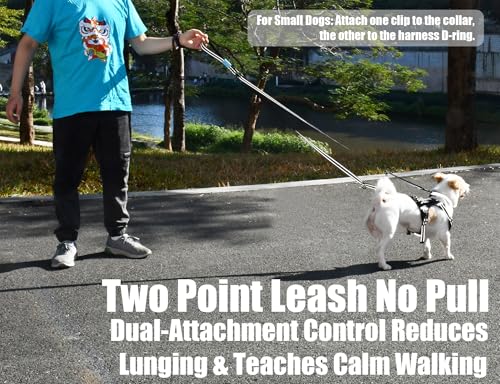 Two Point Control & Hands Free Dog Leash No Pull Black Large Dogs (Black / 5.3FT)