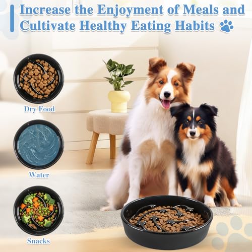 Ceramic Slow Feeder Dog Bowls (Black-L)