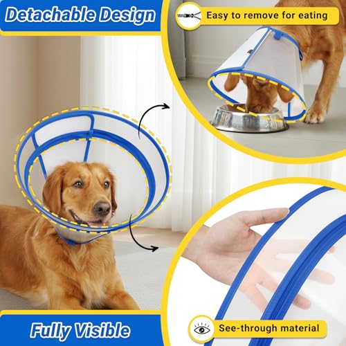 Dog Cone to Stop Licking (Blue / XL(Neck: 16.5"-20.5"))
