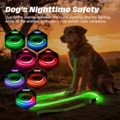 Light Up Dog Leash (Green / 6FT)