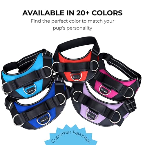 Essential Dog Harness (Midnight / XL)