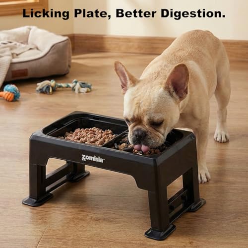 Elevated Dog Bowls (1.6L)