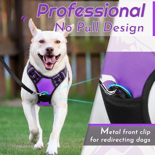 Dog Harness for Medium Sized Dogs (Medium / Purple)