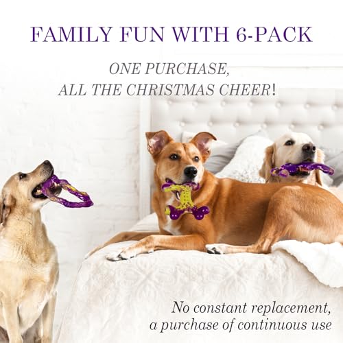 6 Pack Dog Toys for Aggressive Chewers (Purple-6-Pack)