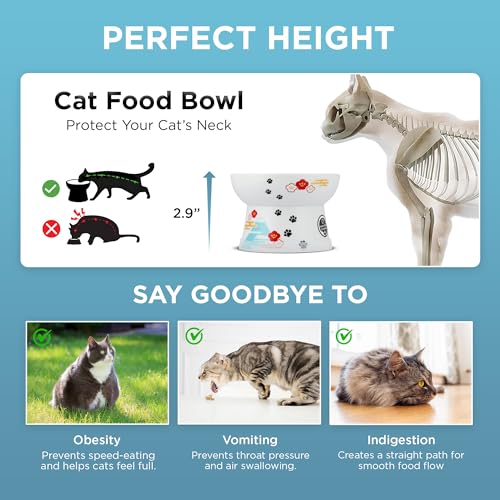 Necoichi Ceramic Elevated Cat Food Bowl (Fuji / Regular)