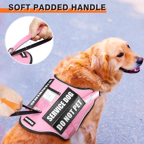 Service Dog Harness and Leash Set (Medium / Pink)