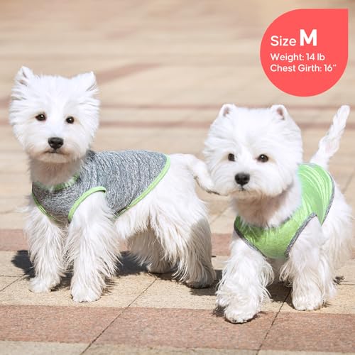 2Pack Dog Shirt for Small Dogs Sun Protection Tank Top for Summer (X-Large (18-30lbs) / 5# 2Pack (Green+Grey))