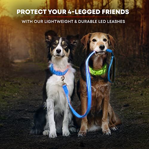 LED Light Up Dog Leash (6 Feet / Royal Blue)