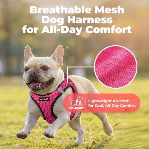 Voyager Step in Air Dog Vest Harness (Fuchsia 2-Tone / L (Chest: 18 - 20.5"))