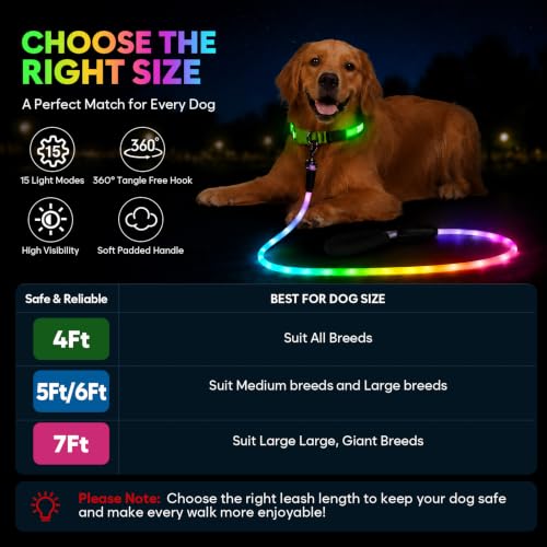 6Ft Light Up Dog Leash (6Ft)