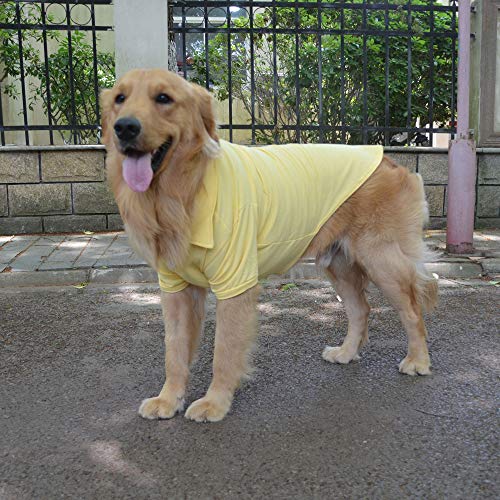 Basic Dog Polo Shirts Premium Cotton (XS (-6lbs) / Yellow)