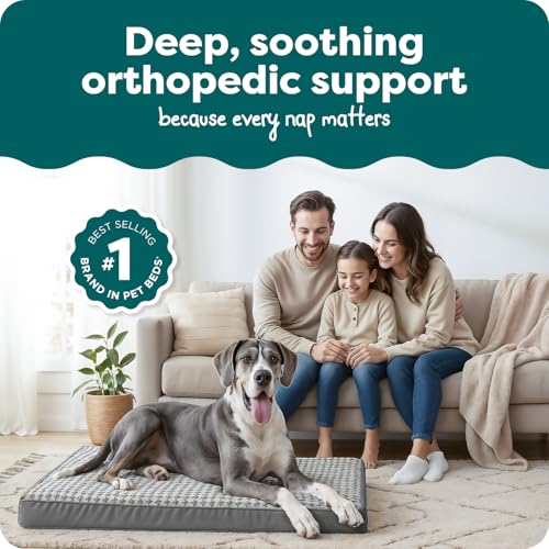 Orthopedic Dog Bed for Large Dogs (Jumbo Plus / Gray)