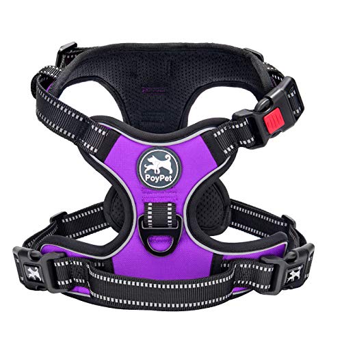 No Pull Dog Harness Small with Front Clip & Neck Release Buckle (XS / Purple)