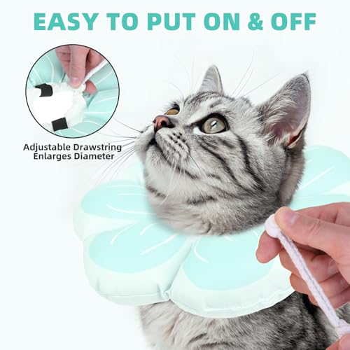 Cat Cone Collar (Blue / M - Neck Up to 10.5")