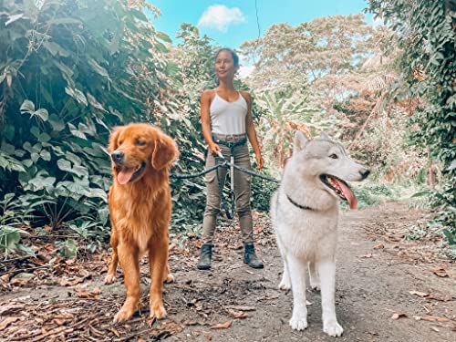 Heavy Duty Hands Free Bungee Dog Leash