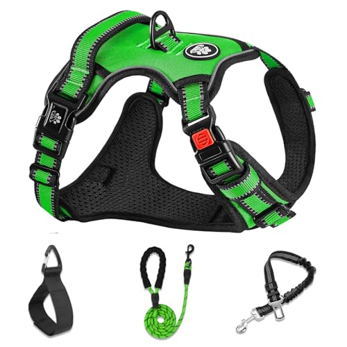 Dog Harness for Small Sized Dog (Green / Small)