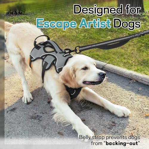 Escape Proof Dog Harness for Medium (Grey / Medium)