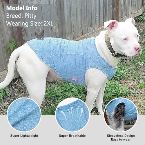 2Pack Reflective Dog Shirt (XX-Large (40-55lbs) / 6# 2Pack (Grey+Blue))