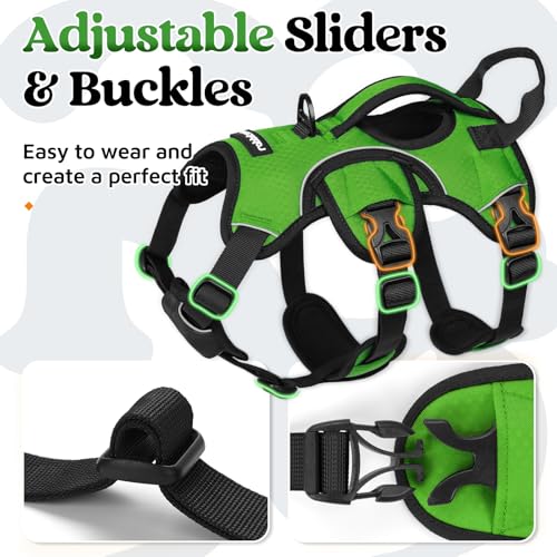 Escape Proof Dog Harness for Small (Green / Small)