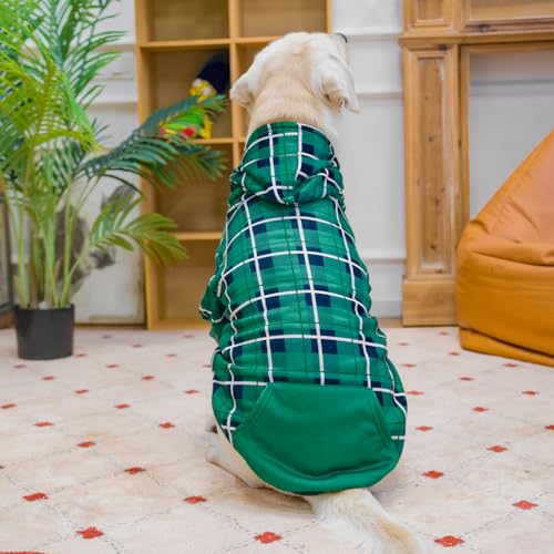 Plaid Dog Hoodie (Large / Green)