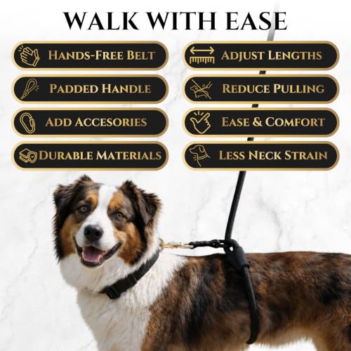 No Pull Hand Free Dog Leash with Wrap (Black / Large)