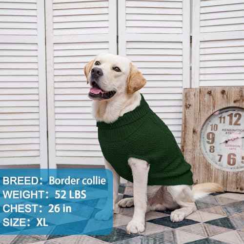 Turtleneck Dog Sweater (XX-Large / Dark Green)