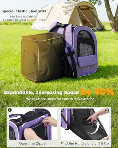 Cat Backpack Expandable (Purple / 12.6"L x 10.2"W x 16.5"H)