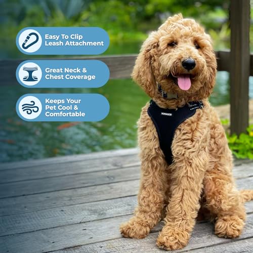 Voyager Step in Flex Adjustable Dog Harness (Harness (Black) / XS)