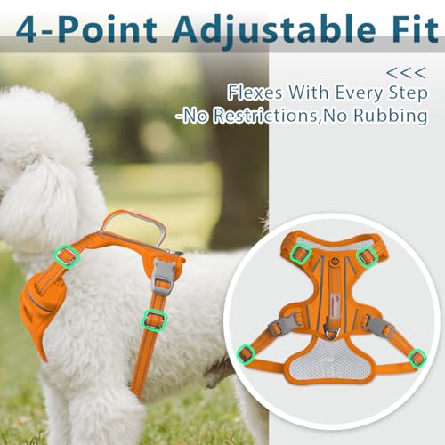No Pull Dog Harness for Small Sized Dogs (Small(Chest:19.5-26”) / Pumpkin-Oxford)