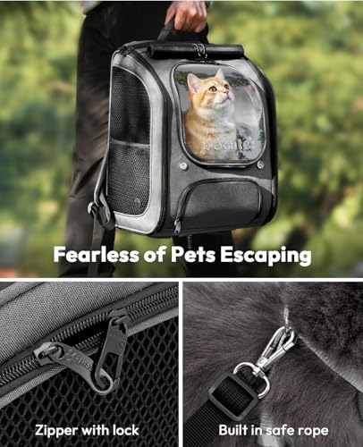 Cat Backpack Carrier (Gray / 12.6"L x 10.2"W x 16.5"H)
