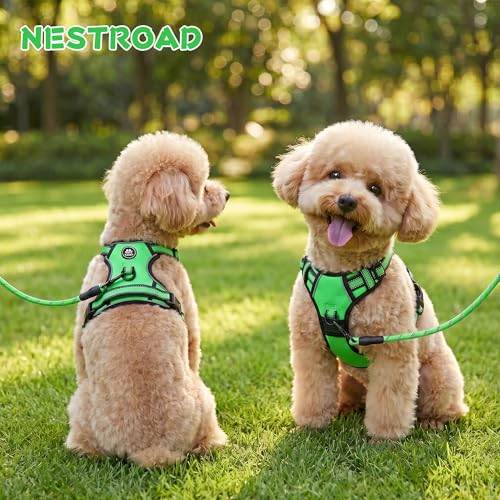 Dog Harness for Small Sized Dog (Green / Small)