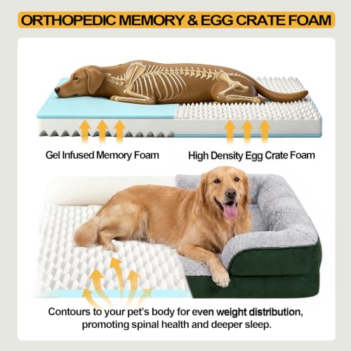 Orthopedic Extra Large Dog Bed (Green / 44.0" L x 31.5" W x 7.5" Th)