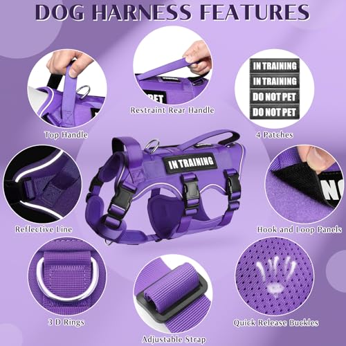 Escape Proof Dog Harness with Double Handle+4 Removable Patches (Large / Purple)