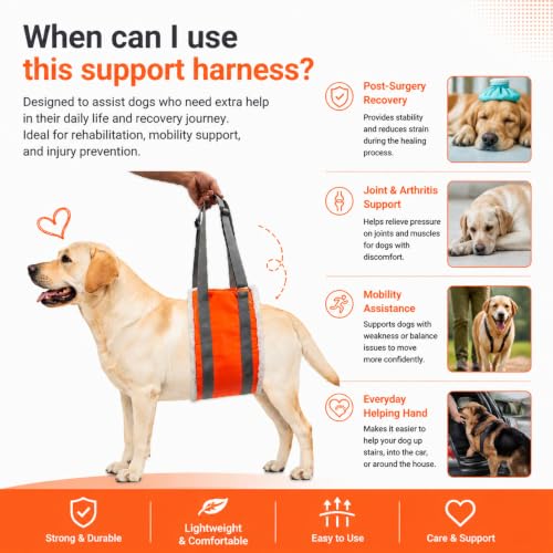 20 150lb Dog Sling for Large Dogs Hind Leg Support (Orange)